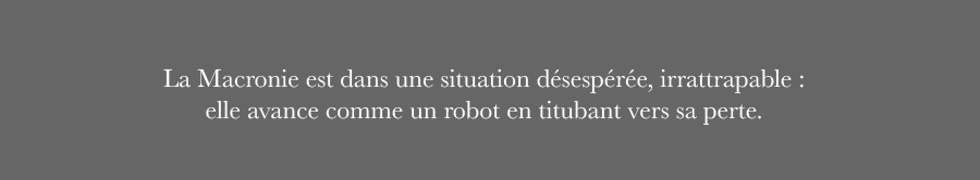 Macron-robot